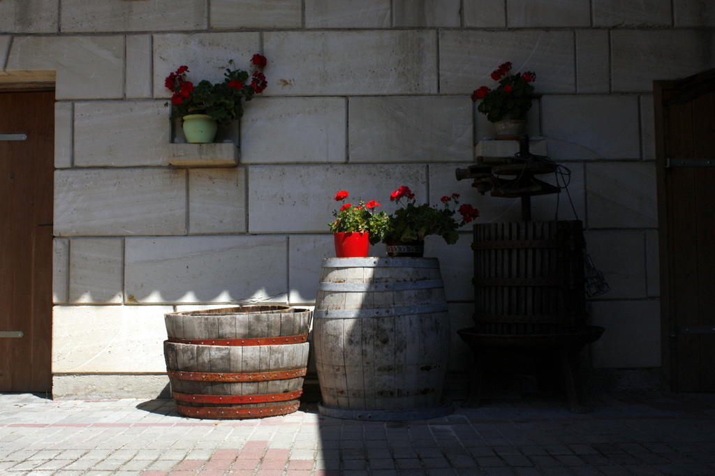 Falusi Vendégház Etyek Exterior foto